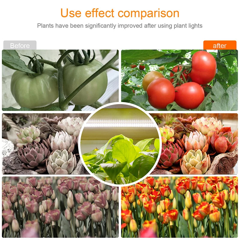 Indoor Led Grow Light USB Timer Phyto Lamp for Plants Dimmable LED Lamp Phytolamps Full Spectrum Hydroponics Growing Lamps